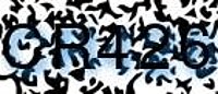 grafischer Sicherheitscode