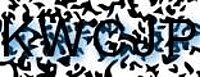 grafischer Sicherheitscode