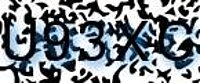 grafischer Sicherheitscode