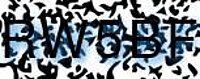 grafischer Sicherheitscode