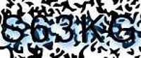 grafischer Sicherheitscode