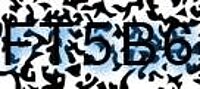grafischer Sicherheitscode