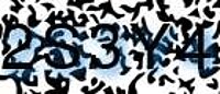 grafischer Sicherheitscode