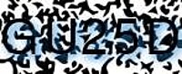 grafischer Sicherheitscode