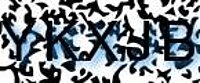 grafischer Sicherheitscode