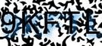 grafischer Sicherheitscode