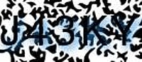 grafischer Sicherheitscode