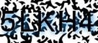 grafischer Sicherheitscode