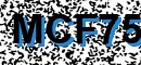 grafischer Sicherheitscode