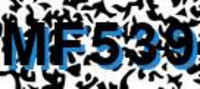 grafischer Sicherheitscode