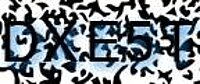 grafischer Sicherheitscode