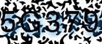 grafischer Sicherheitscode