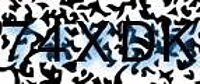 grafischer Sicherheitscode