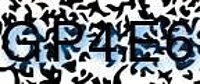 grafischer Sicherheitscode