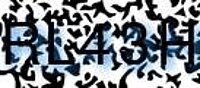 grafischer Sicherheitscode