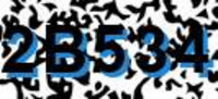 grafischer Sicherheitscode