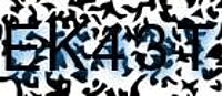 grafischer Sicherheitscode