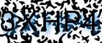 grafischer Sicherheitscode
