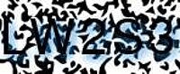 grafischer Sicherheitscode