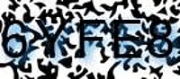 grafischer Sicherheitscode