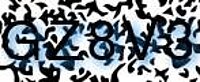 grafischer Sicherheitscode