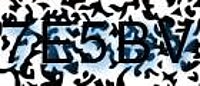grafischer Sicherheitscode