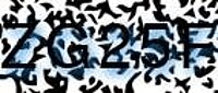 grafischer Sicherheitscode